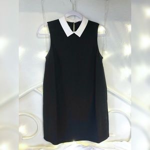 Peter Pan color black and white shift dress